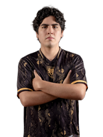 Leostyle-